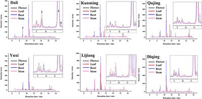 Comprehensive Quality Assessment Based Specific Chemical Profiles for Geographic and Tissue Variation in Gentiana rigescens Using HPLC and FTIR Method Combined with Principal Component Analysis